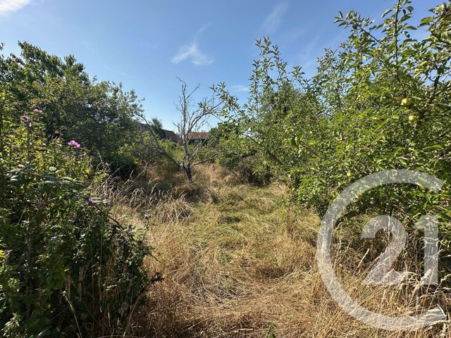 Maison à vendre - 4 pièces - 73,39 m2 - Guipy - 58 - BOURGOGNE