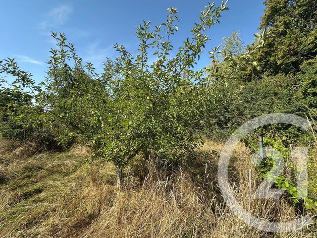 Maison à vendre - 4 pièces - 73,39 m2 - Guipy - 58 - BOURGOGNE