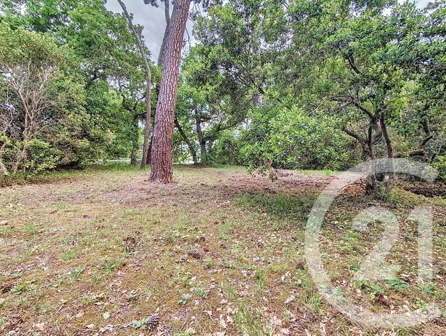 Terrain à vendre - 1050 m2 - Arcachon - 33 - AQUITAINE