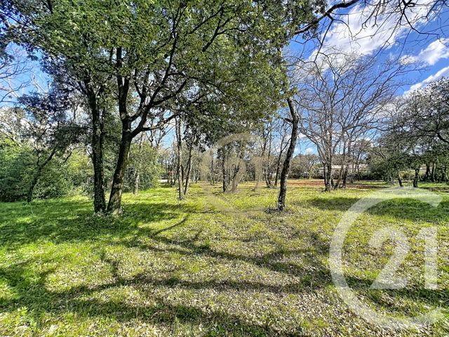 Terrain &agrave; vendre - 1170 m2 - St Siffret - 30 - LANGUEDOC-ROUSSILLON