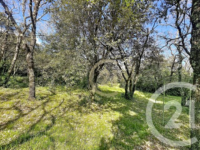 Terrain &agrave; vendre - 1170 m2 - St Siffret - 30 - LANGUEDOC-ROUSSILLON