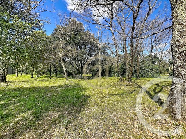 terrain - ST SIFFRET - 30