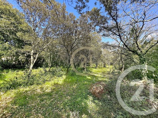 Terrain &agrave; vendre - 1170 m2 - St Siffret - 30 - LANGUEDOC-ROUSSILLON