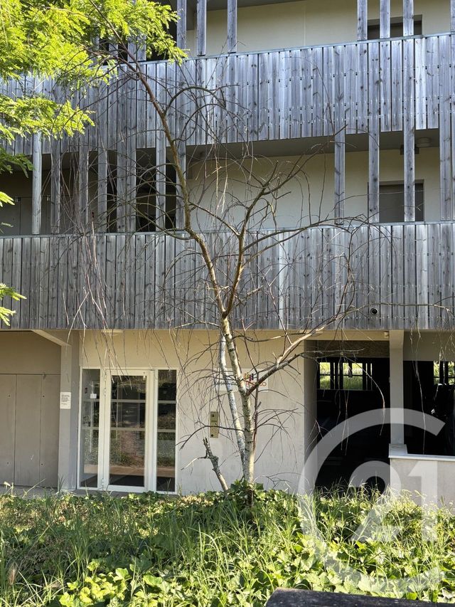 Appartement T3 &agrave; louer - 3 pi&egrave;ces - 61 m2 - Begles - 33 - AQUITAINE
