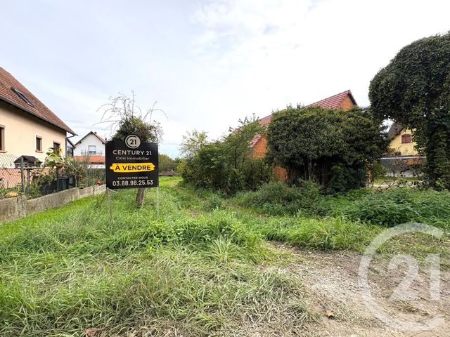 terrain - UTTENHEIM - 67