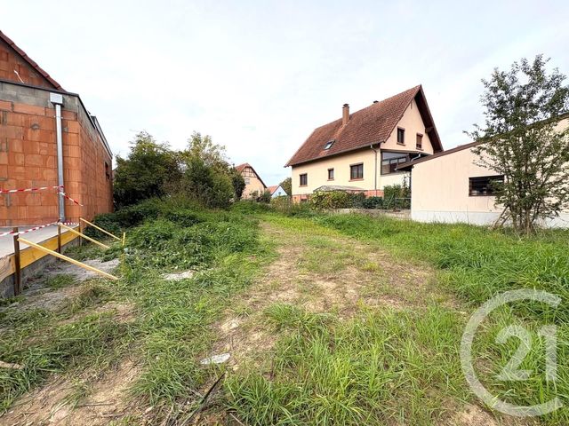 Terrain &agrave; vendre - 690 m2 - Uttenheim - 67 - ALSACE