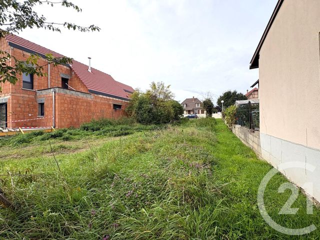 Terrain &agrave; vendre - 690 m2 - Uttenheim - 67 - ALSACE