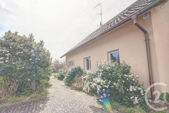 Maison &agrave; vendre - 5 pi&egrave;ces - 157,34 m2 - Hilsenheim - 67 - ALSACE