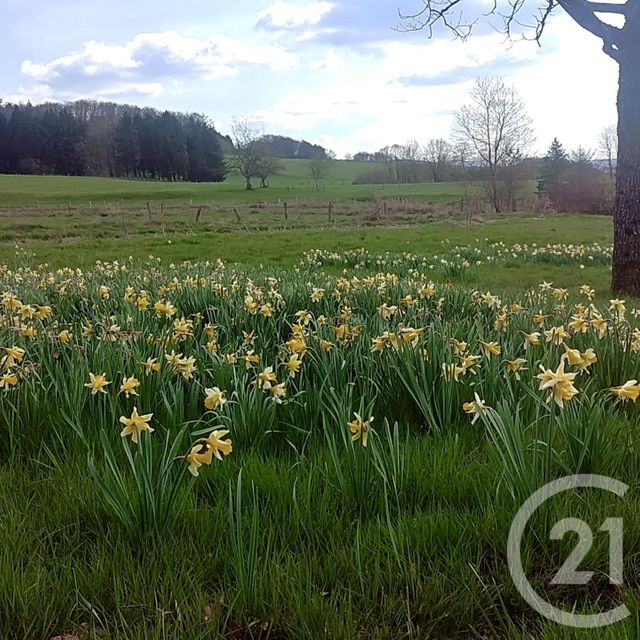 Maison &agrave; vendre - 6 pi&egrave;ces - 200 m2 - Charmois Devant Bruyeres - 88 - LORRAINE