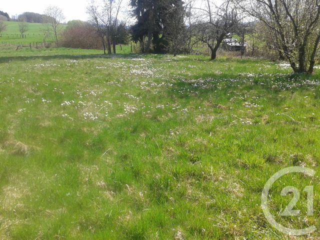 Maison &agrave; vendre - 6 pi&egrave;ces - 200 m2 - Charmois Devant Bruyeres - 88 - LORRAINE