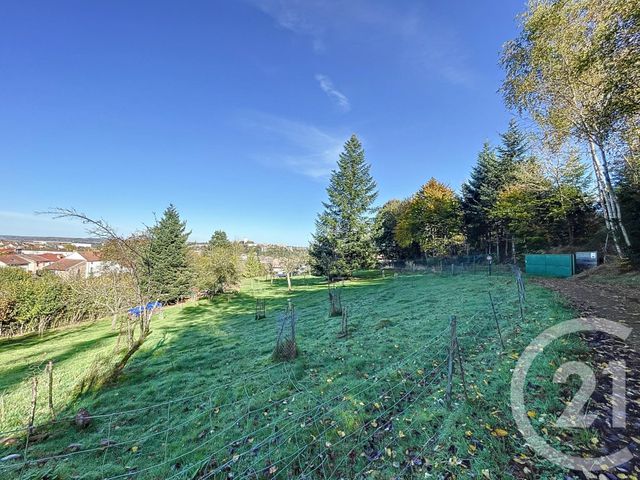 Terrain &agrave; vendre - 3030 m2 - Chantraine - 88 - LORRAINE