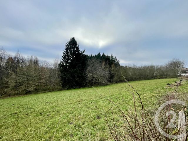 Terrain &agrave; vendre - 4590 m2 - Hadol - 88 - LORRAINE