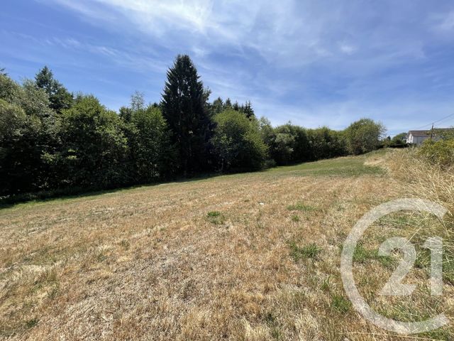 Terrain &agrave; vendre - 1250 m2 - Hadol - 88 - LORRAINE