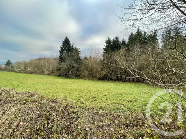 Terrain &agrave; vendre - 4590 m2 - Hadol - 88 - LORRAINE