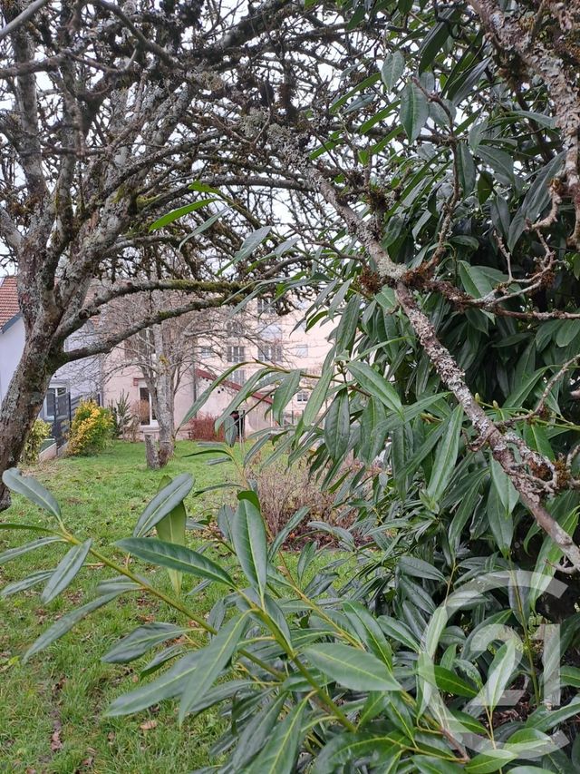 Maison &agrave; vendre - 3 pi&egrave;ces - 73 m2 - Chantraine - 88 - LORRAINE