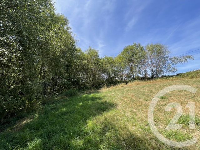 Terrain &agrave; vendre - 3340 m2 - Hadol - 88 - LORRAINE