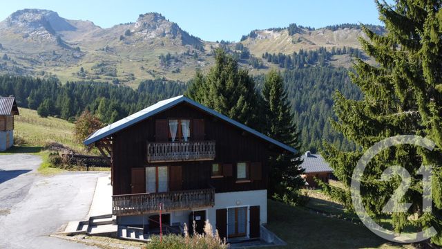 Maison à vendre TANINGES