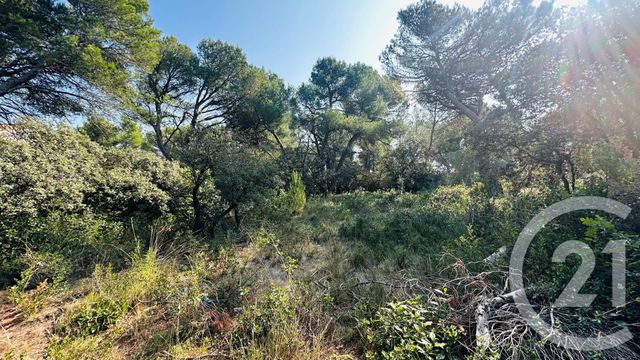Terrain &agrave; vendre - 2117 m2 - Cavaillon - 84 - PROVENCE-ALPES-COTE-D-AZUR