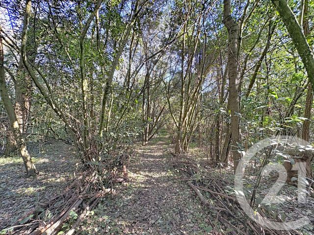 Appartement T5 &agrave; vendre - 5 pi&egrave;ces - 190,04 m2 - Muret - 31 - MIDI-PYRENEES