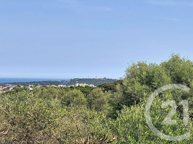 Maison &agrave; vendre - 7 pi&egrave;ces - 147,50 m2 - Antibes - 06 - PROVENCE-ALPES-COTE-D-AZUR