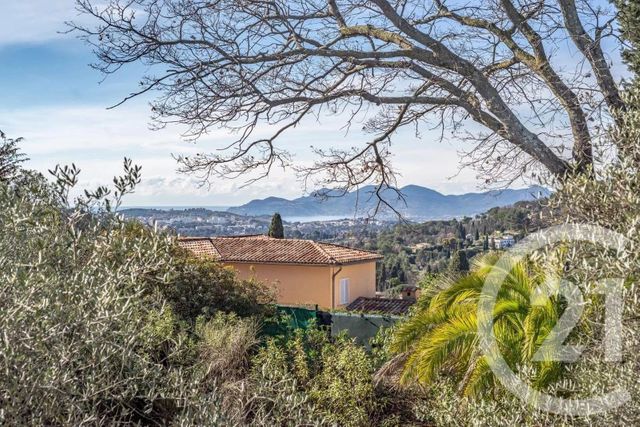 Maison &agrave; vendre - 7 pi&egrave;ces - 337 m2 - Mougins - 06 - PROVENCE-ALPES-COTE-D-AZUR