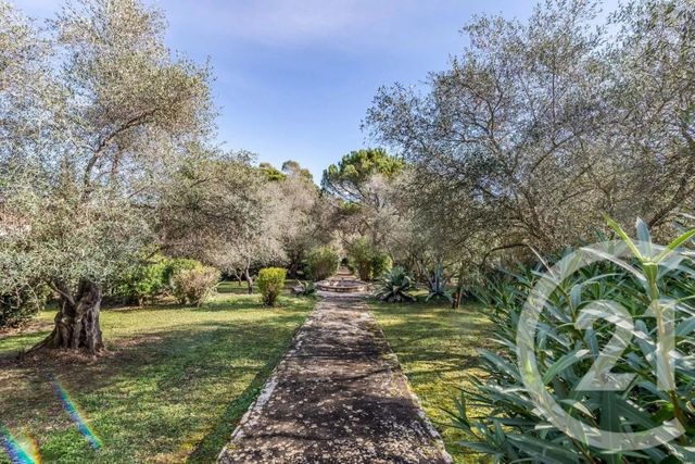 Maison &agrave; vendre - 7 pi&egrave;ces - 337 m2 - Mougins - 06 - PROVENCE-ALPES-COTE-D-AZUR