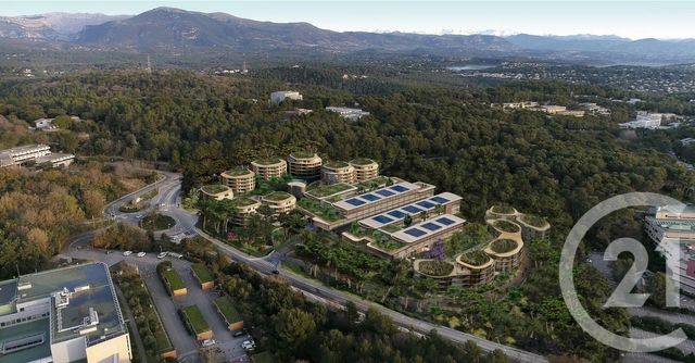 Appartement T2 à vendre - 2 pièces - 42,10 m2 - Valbonne - 06 - PROVENCE-ALPES-COTE-D-AZUR