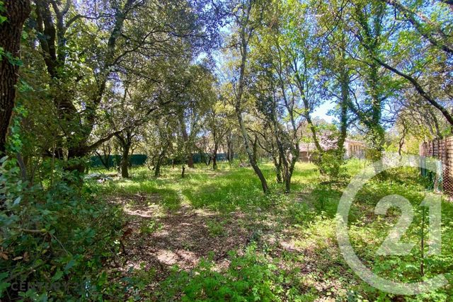 Terrain &agrave; vendre - 900 m2 - St Didier - 84 - PROVENCE-ALPES-COTE-D-AZUR