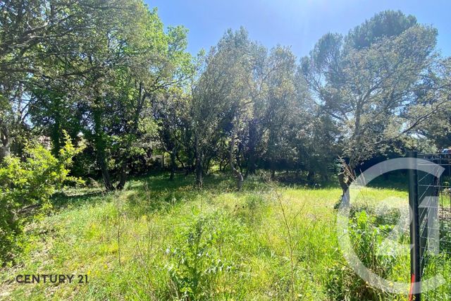 terrain - ST DIDIER - 84