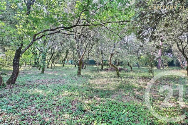 Terrain &agrave; vendre - 900 m2 - St Didier - 84 - PROVENCE-ALPES-COTE-D-AZUR