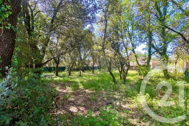 Terrain &agrave; vendre - 900 m2 - St Didier - 84 - PROVENCE-ALPES-COTE-D-AZUR