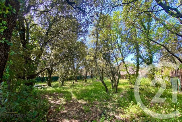 Terrain &agrave; vendre - 900 m2 - St Didier - 84 - PROVENCE-ALPES-COTE-D-AZUR