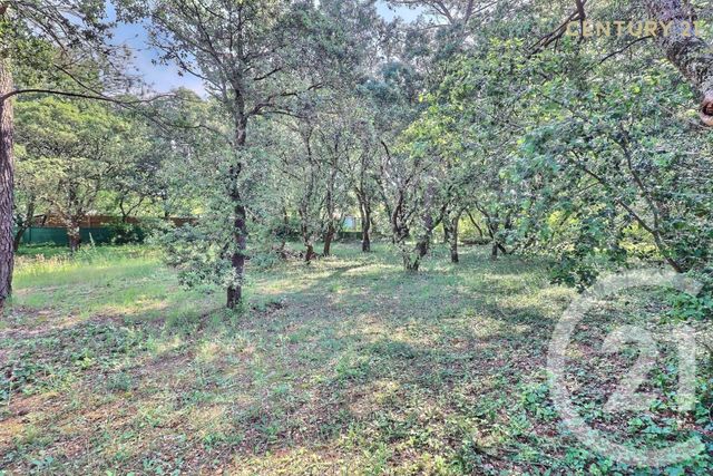 Terrain &agrave; vendre - 900 m2 - St Didier - 84 - PROVENCE-ALPES-COTE-D-AZUR