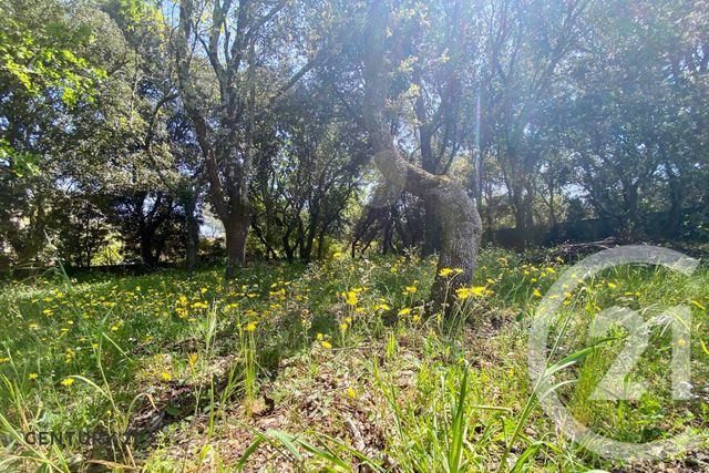 Terrain &agrave; vendre - 900 m2 - St Didier - 84 - PROVENCE-ALPES-COTE-D-AZUR