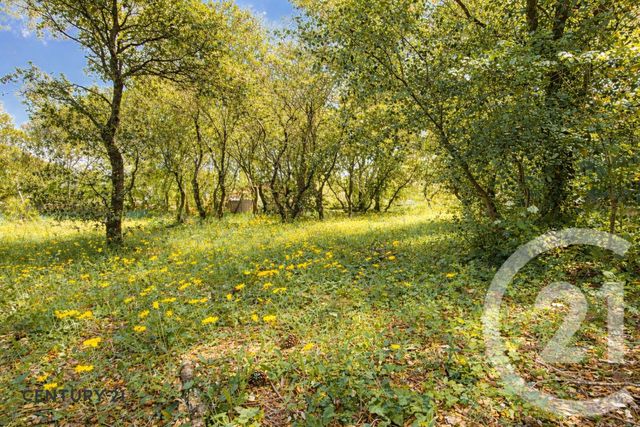 Terrain &agrave; vendre - 900 m2 - St Didier - 84 - PROVENCE-ALPES-COTE-D-AZUR