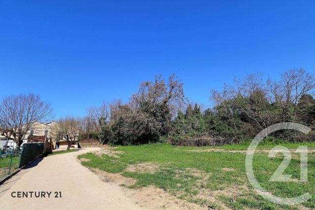 Maison &agrave; vendre - 3 pi&egrave;ces - 80 m2 - Carpentras - 84 - PROVENCE-ALPES-COTE-D-AZUR