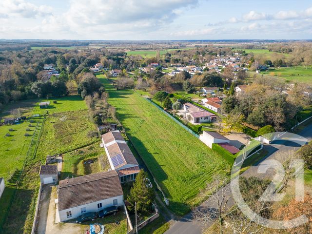 terrain - ST ROMAIN DE BENET - 17