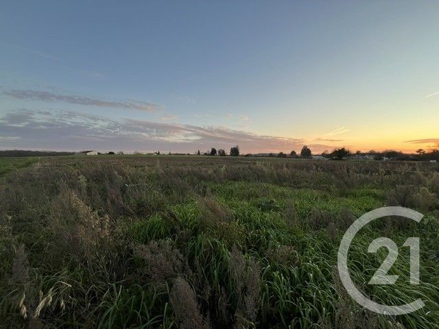 terrain - GREZAC - 17