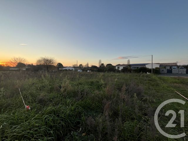 Terrain &agrave; vendre - 1579 m2 - Grezac - 17 - POITOU-CHARENTES