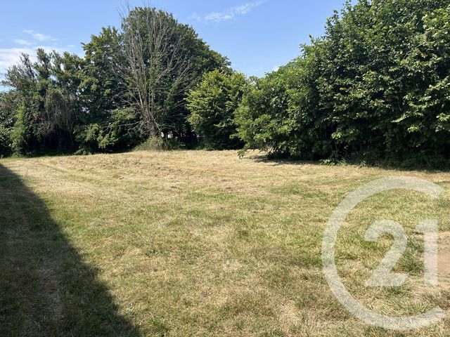 Terrain &agrave; vendre - 750 m2 - Sablonceaux - 17 - POITOU-CHARENTES