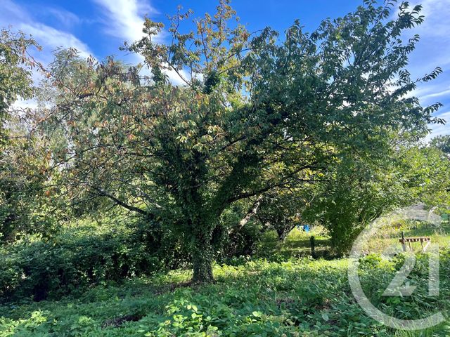 Maison à vendre - 6 pièces - 128,80 m2 - Sciez - 74 - RHONE-ALPES