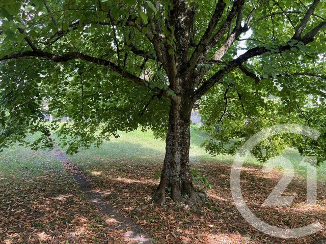 Maison &agrave; vendre - 5 pi&egrave;ces - 175 m2 - Loisin - 74 - RHONE-ALPES