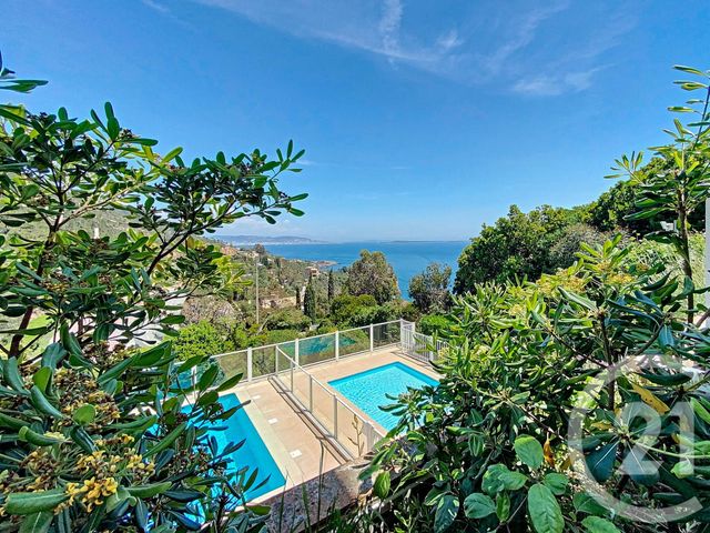 Appartement F2 &agrave; louer - 2 pi&egrave;ces - 31,52 m2 - Theoule Sur Mer - 06 - PROVENCE-ALPES-COTE-D-AZUR