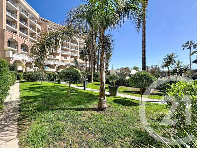 Appartement T3 &agrave; louer - 2 pi&egrave;ces - 33,59 m2 - Cannes La Bocca - 06 - PROVENCE-ALPES-COTE-D-AZUR