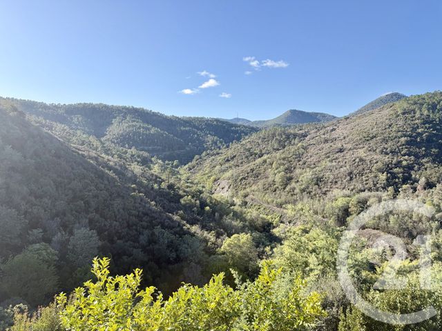 appartement - THEOULE SUR MER - 06