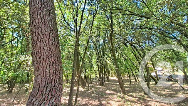 terrain - CENDRAS - 30