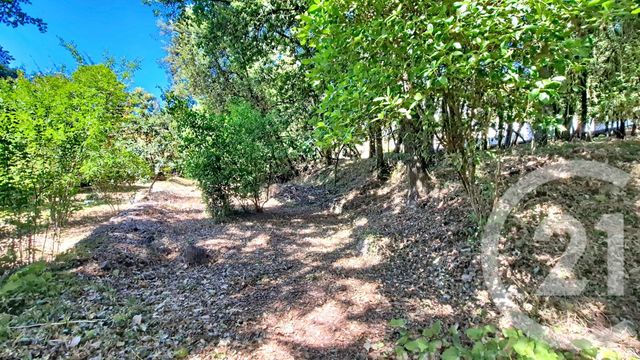terrain - CENDRAS - 30