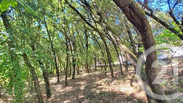 Terrain &agrave; vendre - 1032 m2 - Cendras - 30 - LANGUEDOC-ROUSSILLON