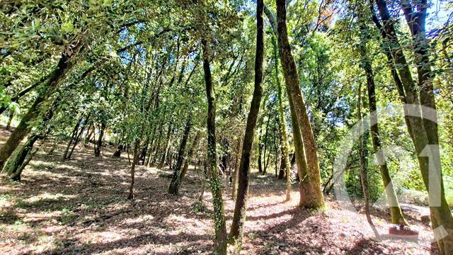 Terrain &agrave; vendre - 1032 m2 - Cendras - 30 - LANGUEDOC-ROUSSILLON