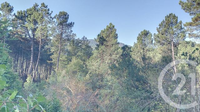 Immeuble &agrave; vendre - 214 m2 - Ste Cecile D Andorge - 30 - LANGUEDOC-ROUSSILLON